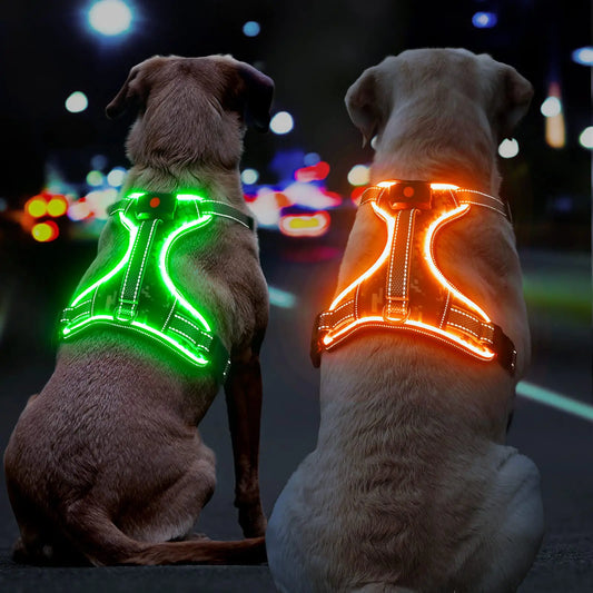 Adjustable Lighted Dog Harness